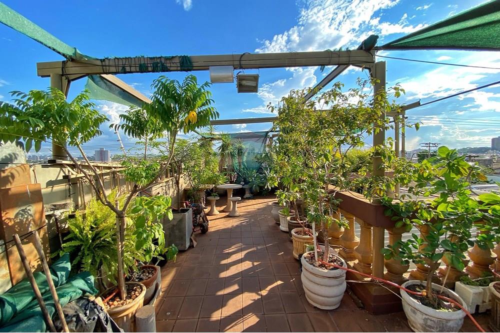 Casa - Venda - Ribeirão Preto , São Paulo - 7517baa8-f6a4-4ca6-a462-fd27309b96dc.jpg - 780171018-317