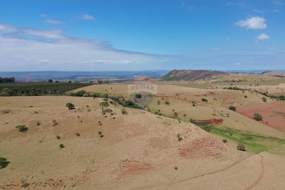 Chácara / Sítio / Fazenda - Venda - Cajuru , São Paulo - DJI_0292.JPG - 780171030-77