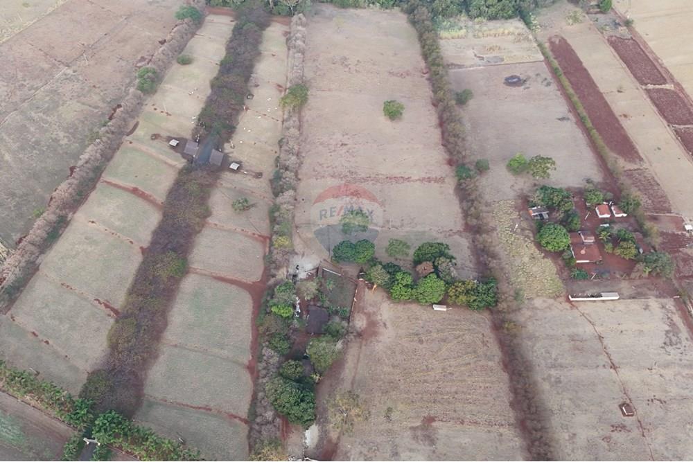 Agro - Venda - Sales Oliveira , São Paulo - DJI_20240827175249_0093_D.JPG - 780251035-14