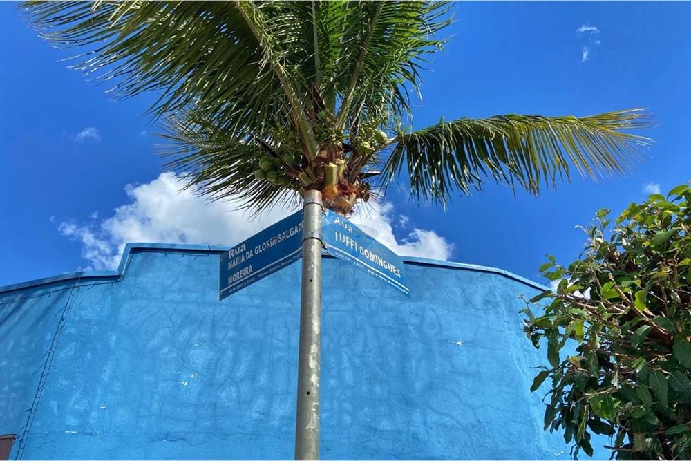 Terreno - Venda - Terra Roxa , São Paulo - 01e2102c-3816-4c0c-884a-b8e1eaef5503.jpg - 780171018-411