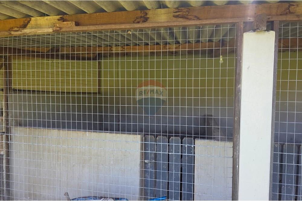 Chácara / Sítio / Fazenda - Venda - Santo Antônio da Alegria , São Paulo - IMG-20251121-WA0134.jpg - 780171030-68