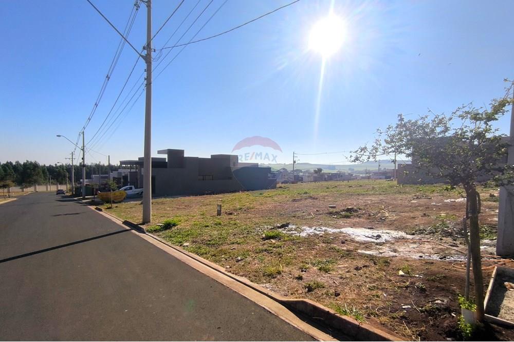Terreno - Venda - Ribeirão Preto , São Paulo - IMG_20250806_085938.jpg - 780171009-225