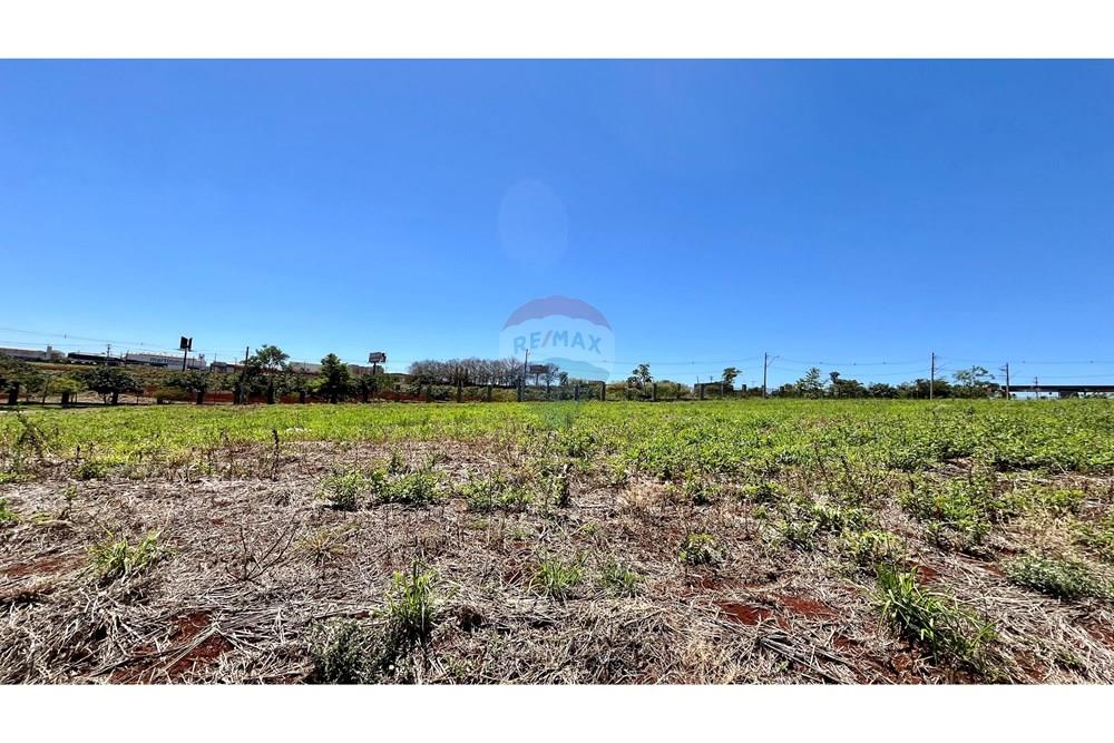 Terreno - Venda - Cravinhos , São Paulo - 4.jpeg - 780091030-66