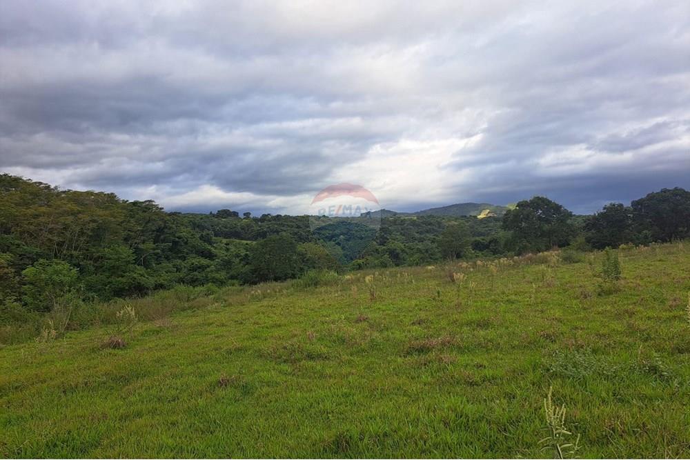 Fazenda - Venda - Cajuru , São Paulo - IMG-20250406-WA0057.jpg - 780171030-57