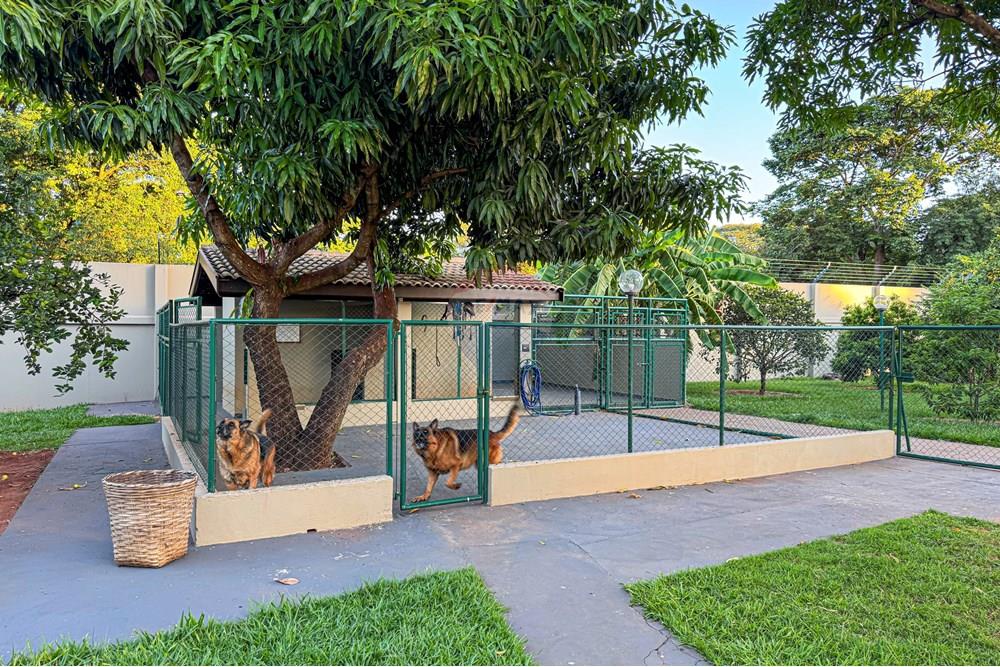 Chácara / Sítio / Fazenda - Venda - Jaboticabal , São Paulo - Foto 06-03-2025, 18 05 16.jpg - 780271054-33