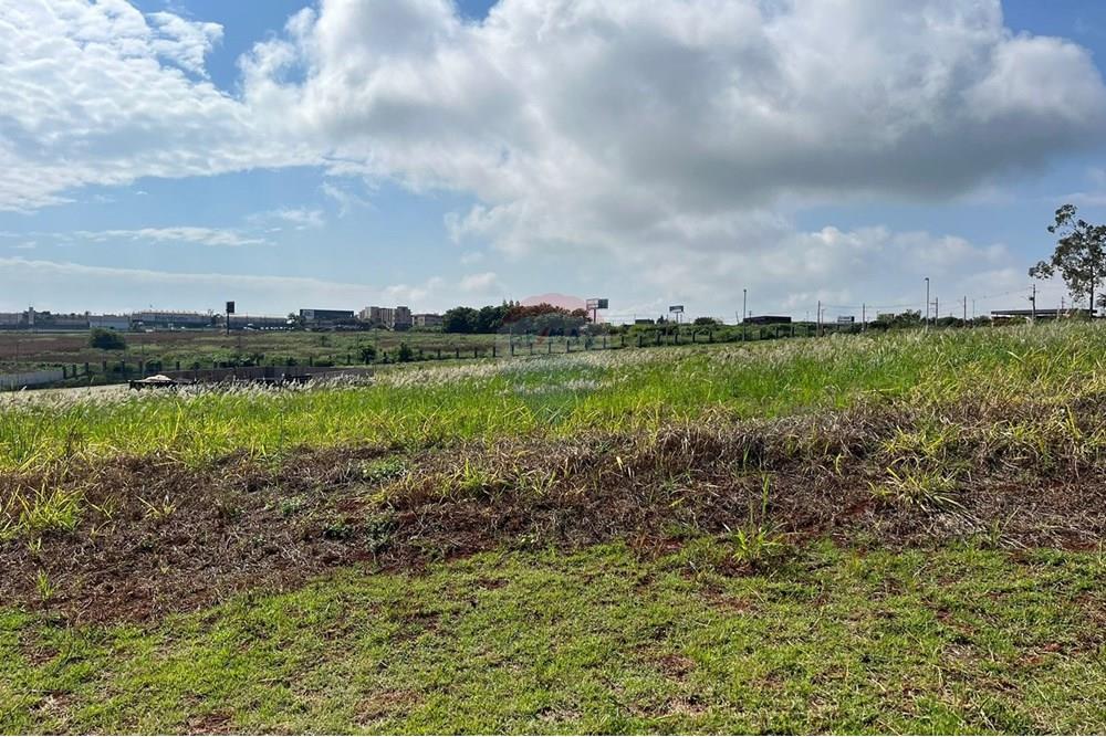 Terreno - Venda - Cravinhos , São Paulo - IMG-20240410-WA0091.jpg - 780241012-47