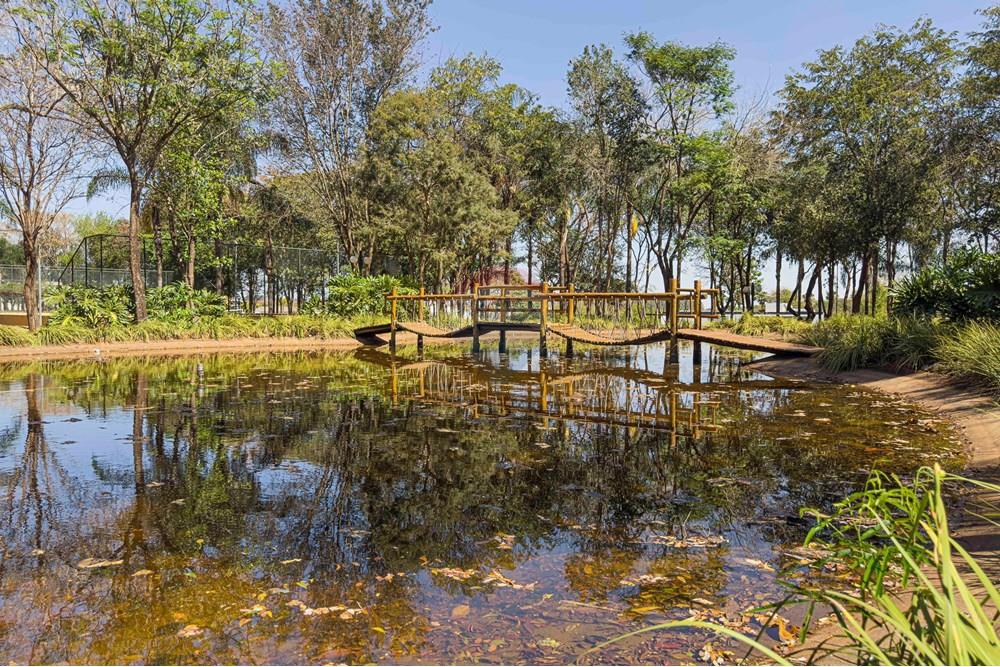 Terreno - Venda - Cravinhos , São Paulo - IMG_9061.jpg - 780201017-48