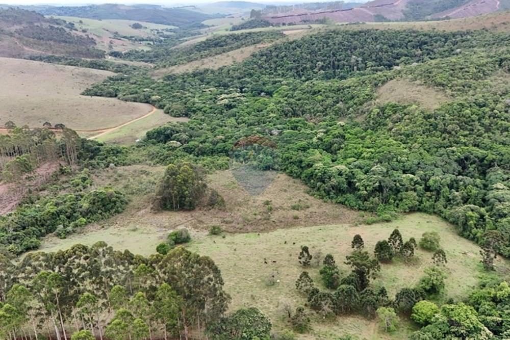 Chácara / Sítio / Fazenda - Venda - Aiuruoca , Minas Gerais - DJI_20241113155419_0323_D.JPG - 780251035-5