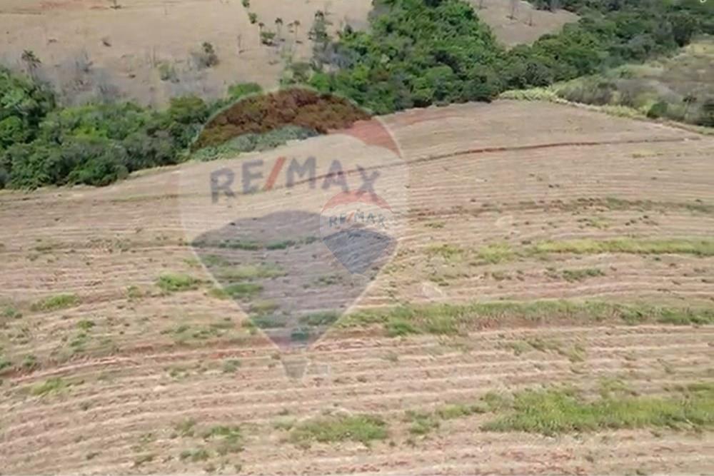 Fazenda - Venda - Patrocínio Paulista , São Paulo - 8 Aérea.jpeg - 780201085-3