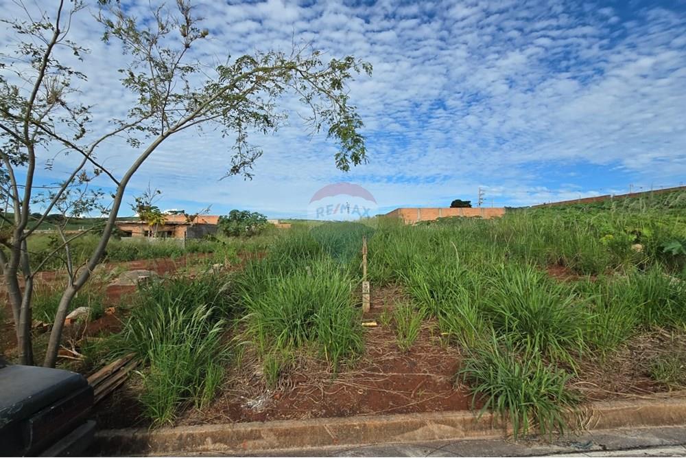 Terreno - Venda - Ribeirão Preto , São Paulo - WhatsApp Image 2025-04-17 at 15.43.10 (1).jpeg - 780101051-1