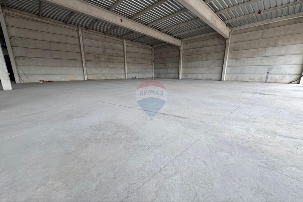 Galpão - Alugar - Ribeirão Preto , São Paulo - 404ce85b-c8a6-493e-92b4-9ac413a9fbd9.jpg - 780071015-520