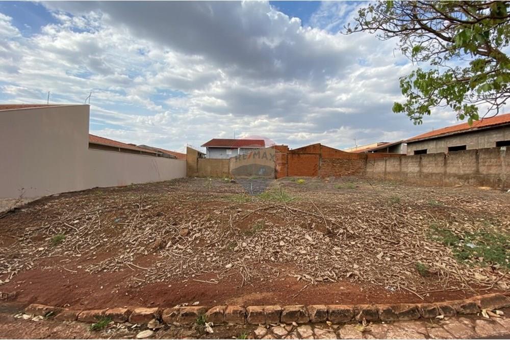 Terreno - Venda - São Joaquim da Barra , São Paulo - 2.jpg - 780301006-45