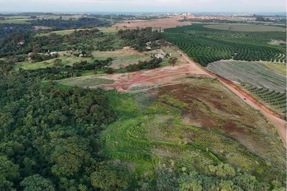 Chácara / Sítio / Fazenda - Venda - Monte Alto , São Paulo - foto 26.jpg - 780271059-44