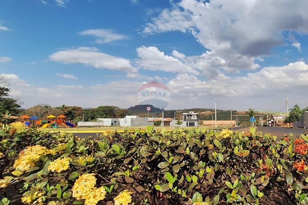 Terreno - Venda - Jardinópolis , São Paulo - 20250725_142824.jpg - Jardim Interno - 780201052-14