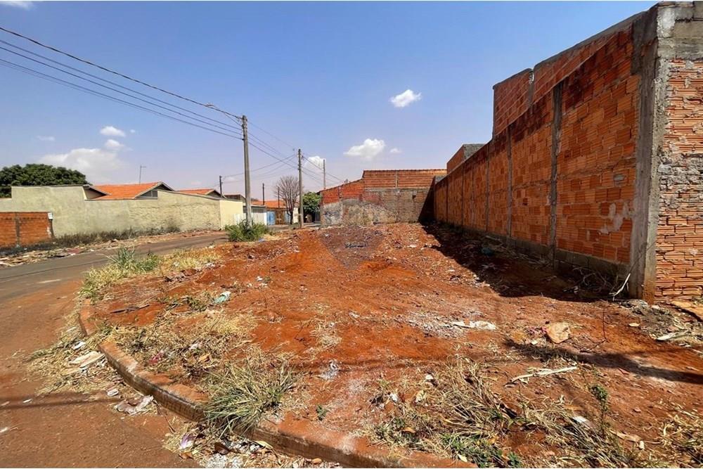 Terreno - Venda - São Joaquim da Barra , São Paulo - IMG-20250916-WA0273.jpg - 780301010-2