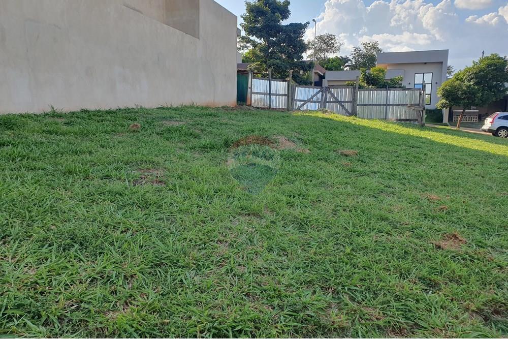 Terreno - Venda - Ribeirão Preto , São Paulo - 20250228_163326.jpg - 780171066-23