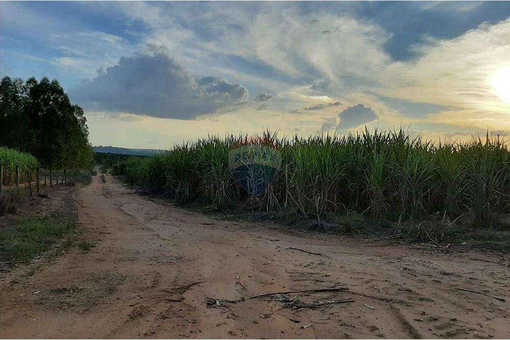 Terreno - Venda - Altinópolis , São Paulo - WhatsApp Image 2025-02-19 at 14.59.34 (1).jpeg - Layout aberto - 780091026-186