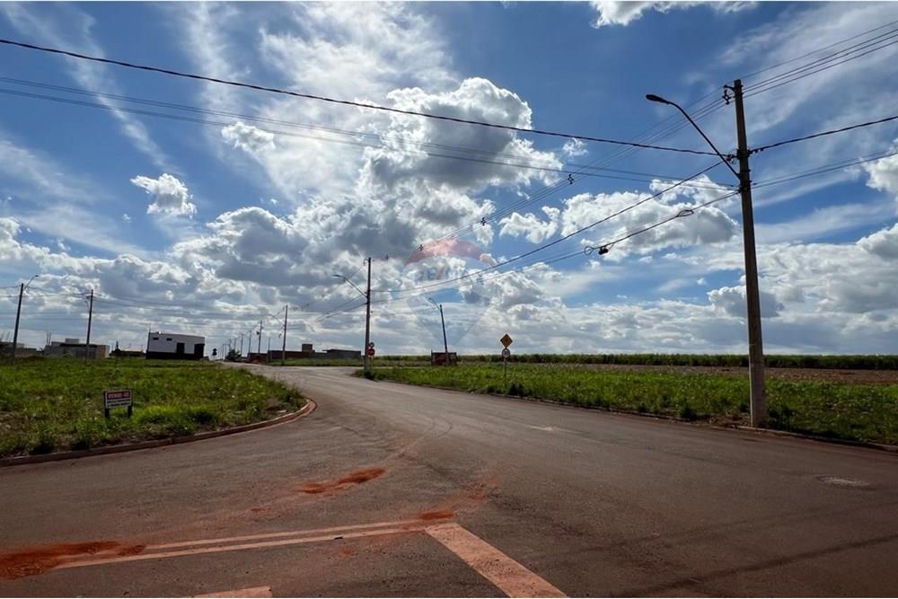 Terreno - Venda - Cravinhos , São Paulo - GERAL 18.jpeg - 780271023-18