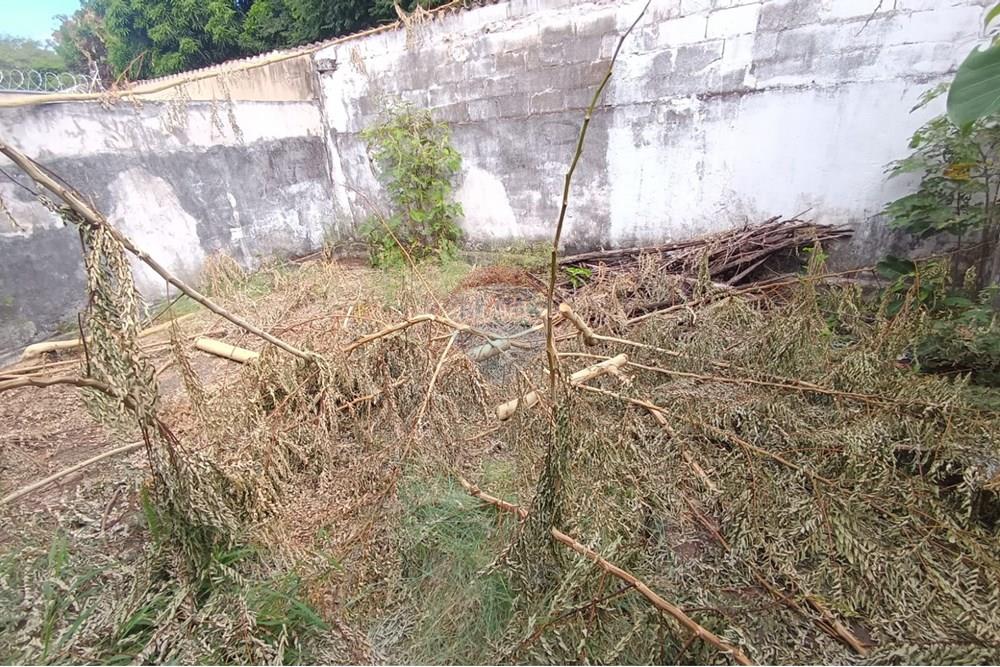 Cj. Comercial/ Sala - Venda - Ribeirão Preto , São Paulo - IMG-20250514-WA0036.jpg - 780181007-774