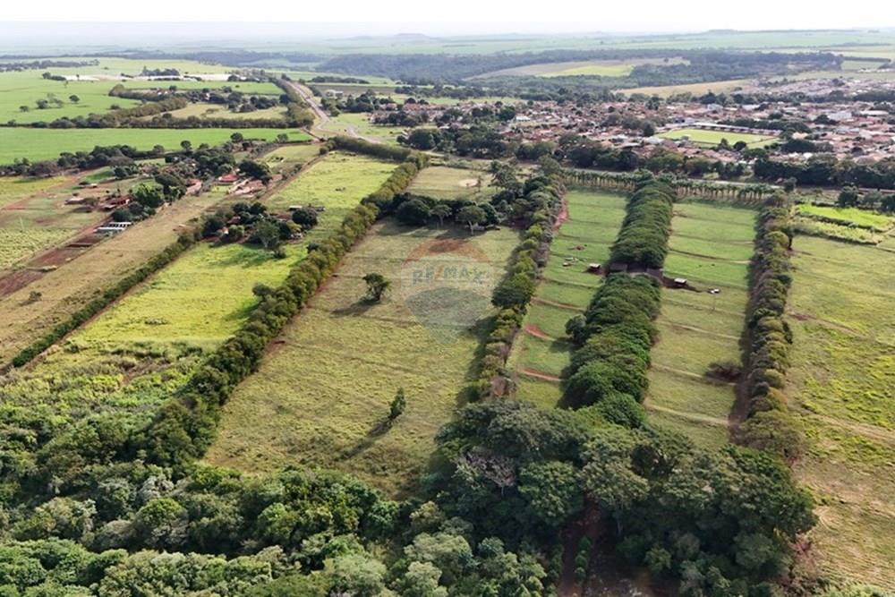 Agro - Venda - Sales Oliveira , São Paulo - DJI_20250605145925_0581_D.JPG - 780251035-14