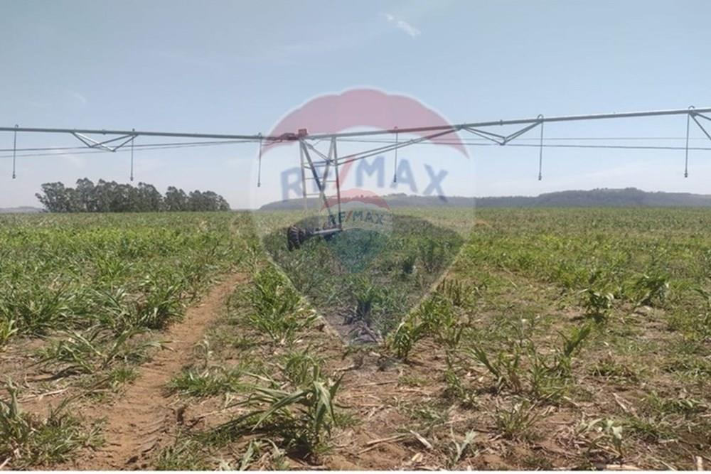 Fazenda - Venda - Patrocínio Paulista , São Paulo - 12 Aérea.jpg - 780201085-4