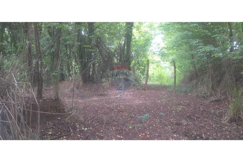 Terreno - Venda - Cristais Paulista , São Paulo - Imagem do WhatsApp de 2025-03-26 à(s) 16.13.40_32a7e053.jpg - 780231035-21