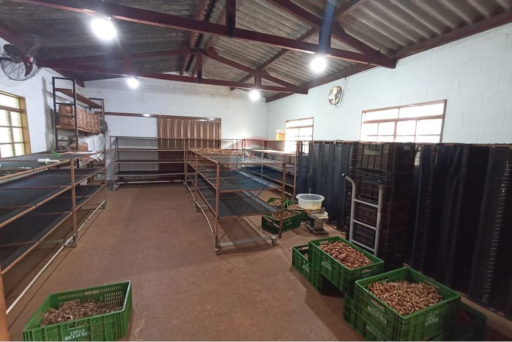 Fazenda - Venda - Cajuru , São Paulo - IMG_20241031_162829.jpg - 780271061-50