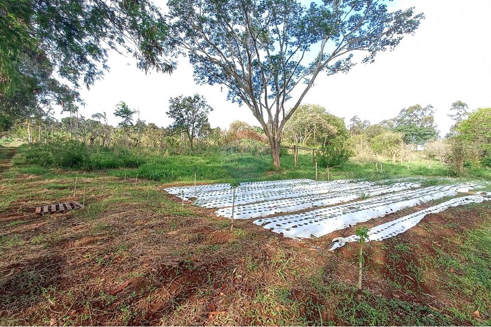 Fazenda - Venda - Cajuru , São Paulo - IMG_20241031_161846.jpg - 780271061-50