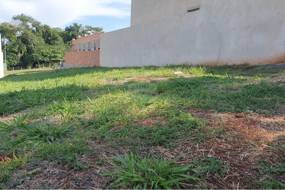 Terreno - Venda - Ribeirão Preto , São Paulo - 1 int fr para fu.jpg - 780171066-23