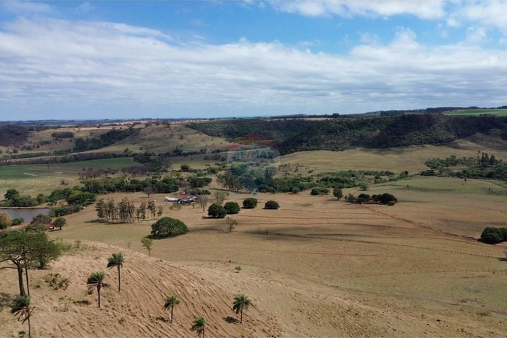 Chácara / Sítio / Fazenda - Venda - Cajuru , São Paulo - DJI_0305.JPG - 780171030-77