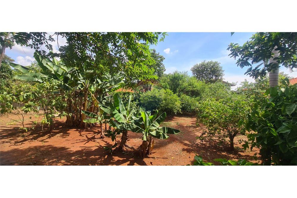 Casa de Condomínio - Venda - Jardinópolis , São Paulo - 39 - 780181011-287