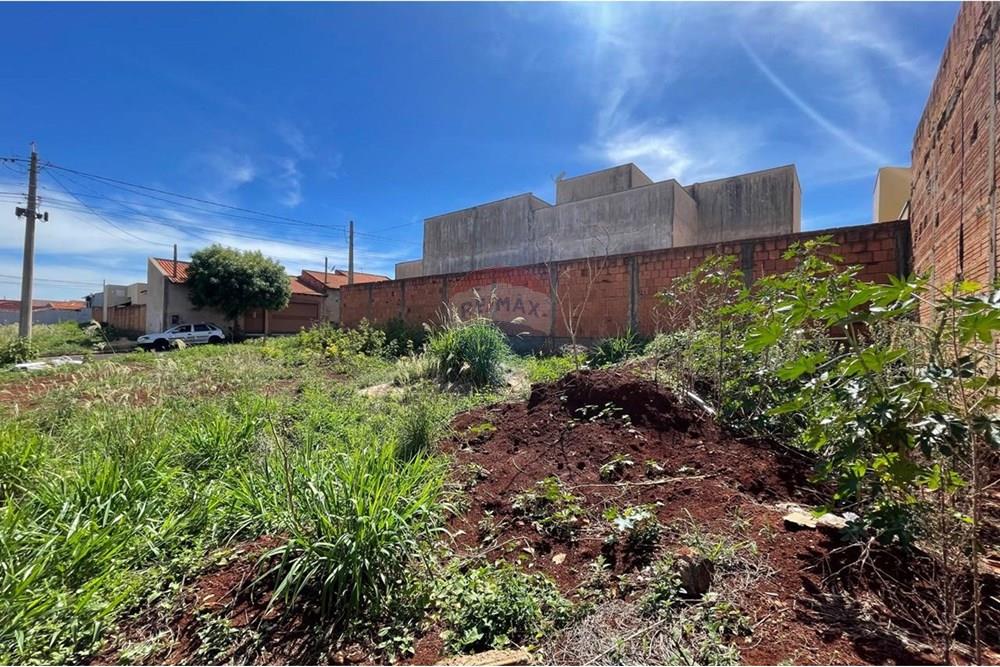 Terreno - Venda - São Joaquim da Barra , São Paulo - IMG-20251126-WA0075.jpg - 780301001-20