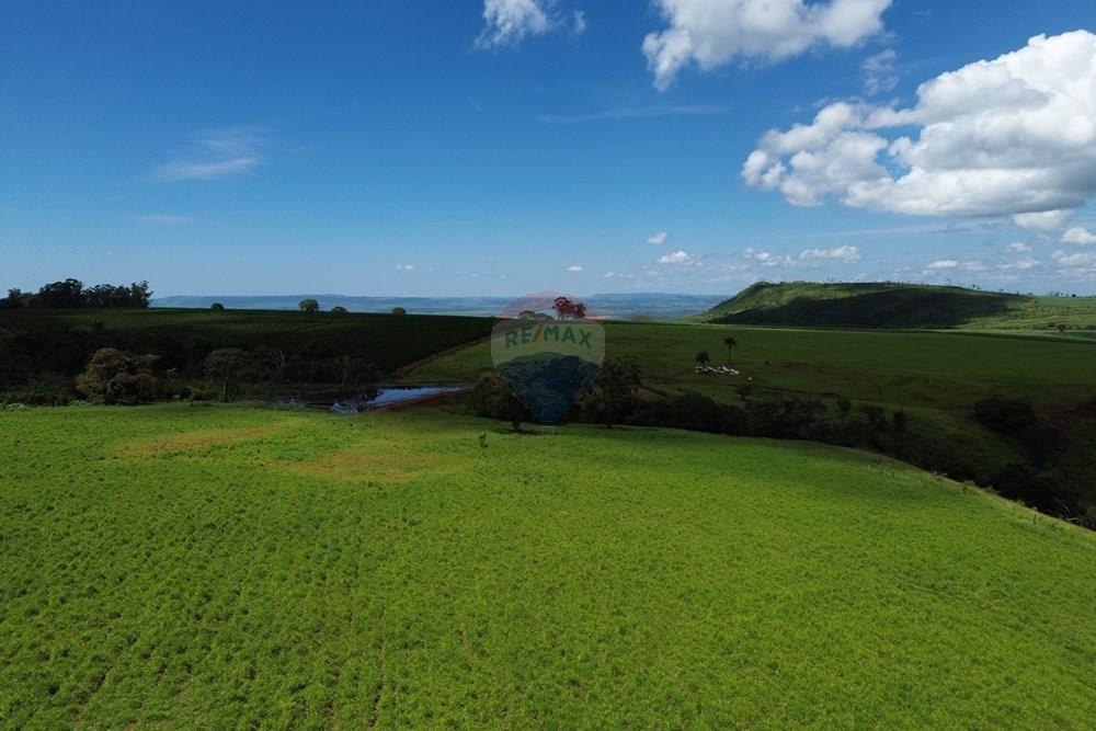 Fazenda - Venda - Cajuru , São Paulo - DJI_0048.JPG - 780171030-74