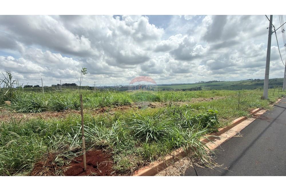 Terreno - Venda - Ribeirão Preto , São Paulo - IMG_7888.JPG - 780121020-93