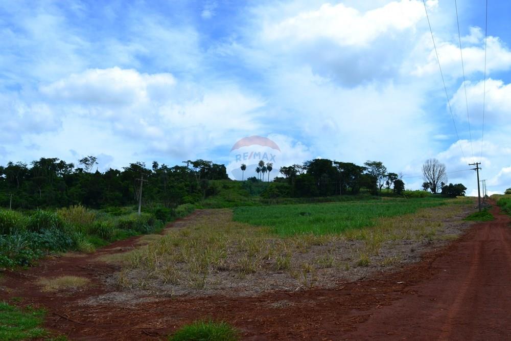 Agro - Venda - Luís Antônio , São Paulo - DSC_0135.JPG - 780071080-2