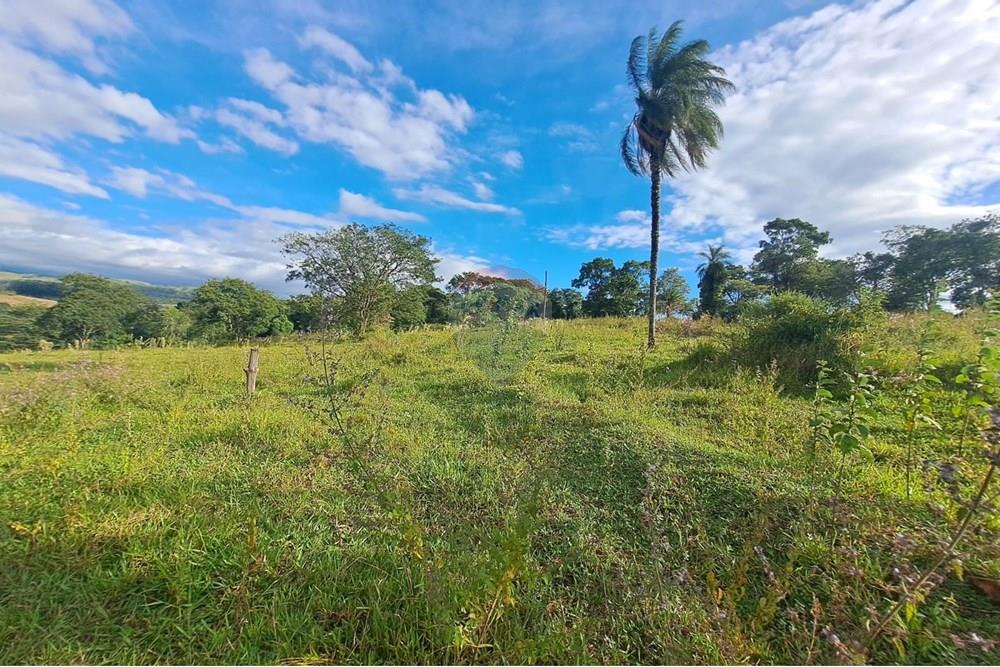 Chácara / Sítio / Fazenda - Venda - Cajuru , São Paulo - IMG-20250406-WA0170.jpg - 780171030-59