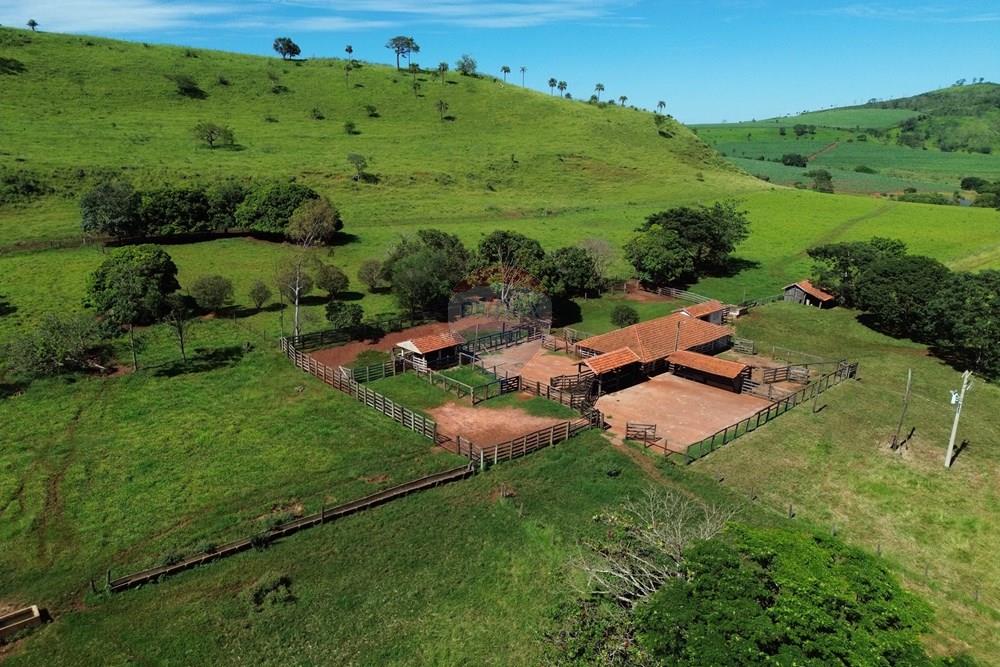 Fazenda - Venda - Cajuru , São Paulo - DJI_0005.JPG - 780171030-74