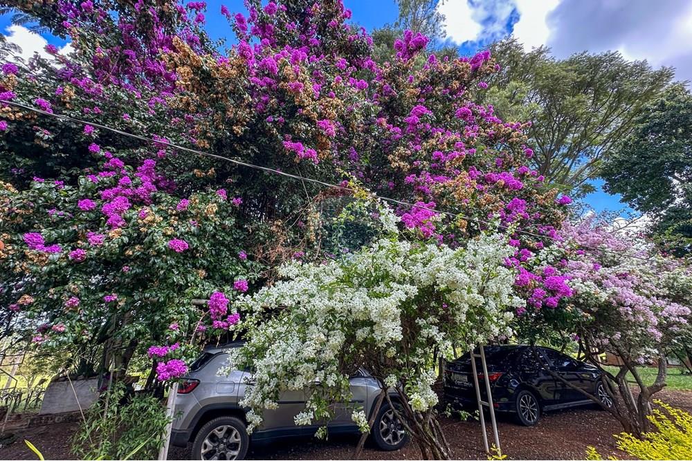 Chácara / Sítio / Fazenda - Venda - Cajuru , São Paulo - IMG_9387.jpg - 780241009-47