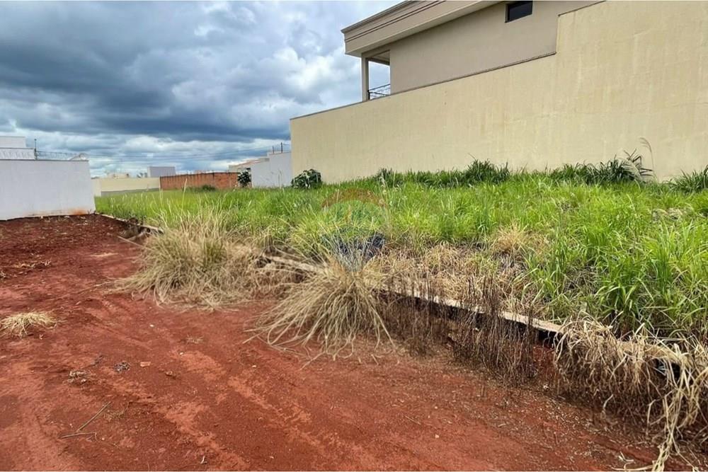 Terreno - Venda - São Joaquim da Barra , São Paulo - WhatsApp Image 2026-01-23 at 16.04.49.jpeg - 780301001-33