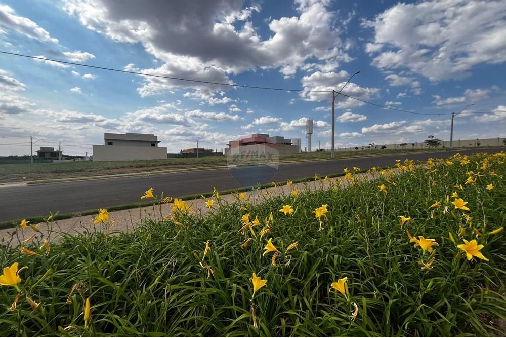 Terreno - Venda - Cristais Paulista , São Paulo - 837.jpeg - 780231007-101