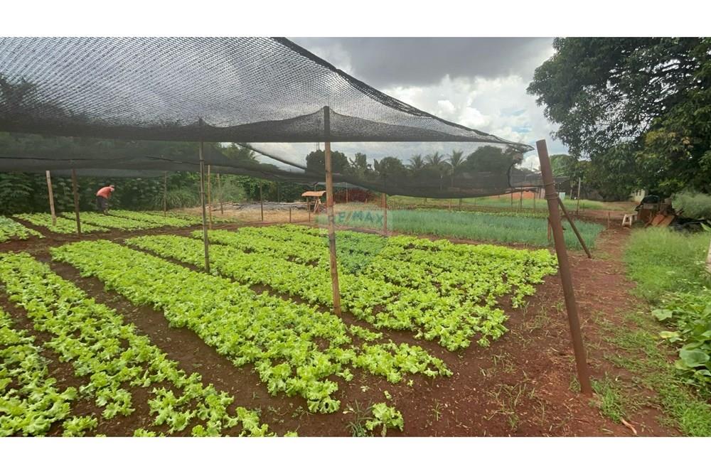 Terreno - Venda - Ribeirão Preto , São Paulo - della ricci 5.jpg - 780241010-16