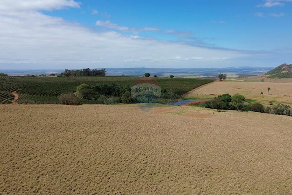 Chácara / Sítio / Fazenda - Venda - Cajuru , São Paulo - DJI_0303.JPG - 780171030-77