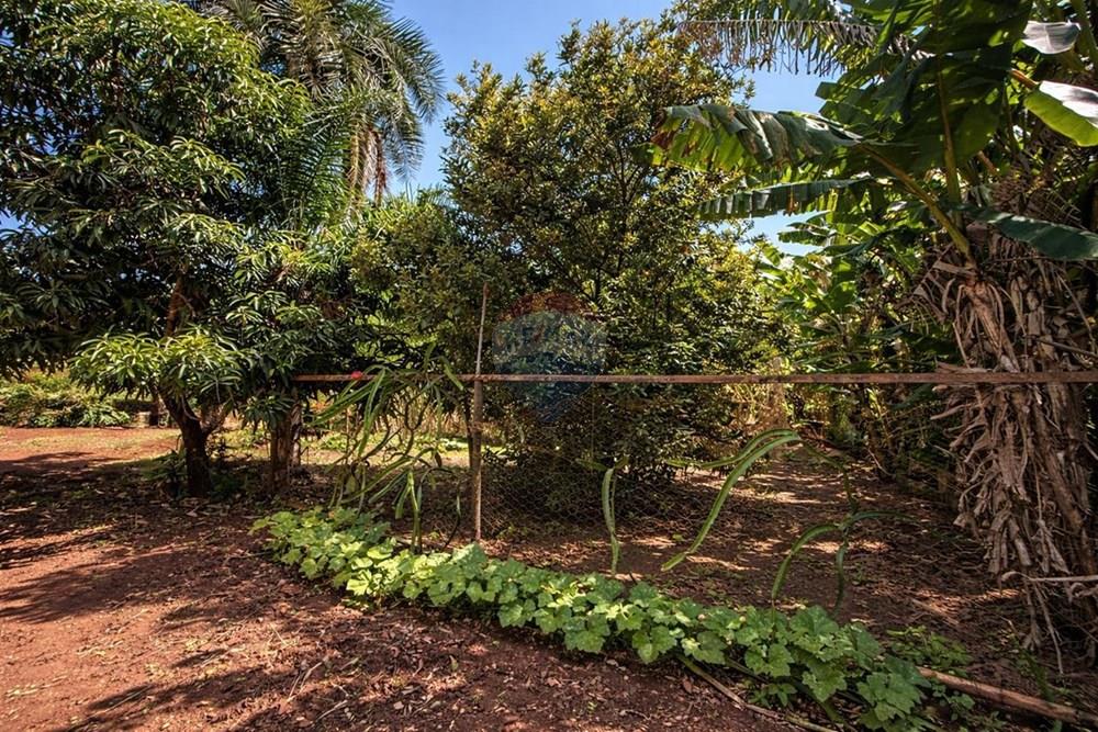 Chácara / Sítio / Fazenda - Venda - Sertãozinho , São Paulo - WhatsApp Image 2026-03-17 at 01.09.06 (3).jpeg - 780191016-54