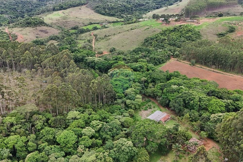 Chácara / Sítio / Fazenda - Venda - Aiuruoca , Minas Gerais - DJI_20241113153824_0318_D.JPG - 780251035-5