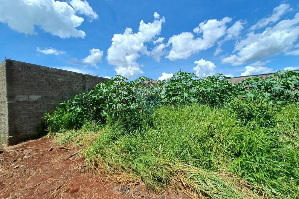 Terreno - Venda - Cravinhos , São Paulo - 20260117_133023.jpg - 780121006-94