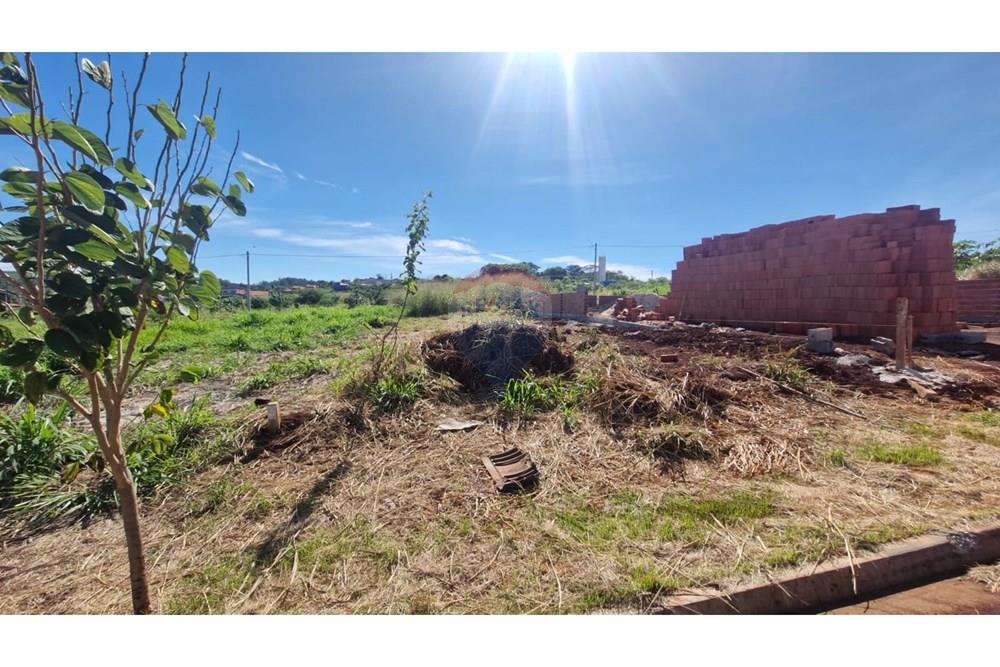 Terreno - Venda - Dumont , São Paulo - WhatsApp Image 2026-04-06 at 11.15.35 (6).jpeg - 780181011-299