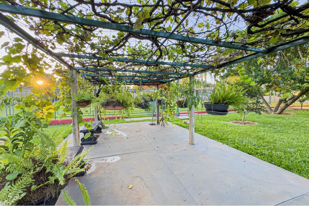 Chácara / Sítio / Fazenda - Venda - Jaboticabal , São Paulo - Foto 06-03-2025, 18 08 14.jpg - 780271054-33