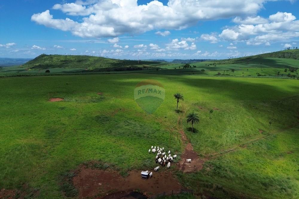 Fazenda - Venda - Cajuru , São Paulo - DJI_0032.JPG - 780171030-74