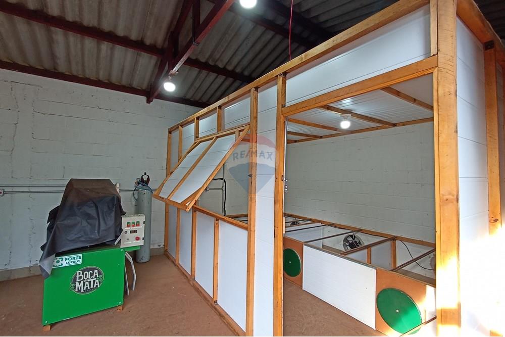 Fazenda - Venda - Cajuru , São Paulo - IMG_20241031_163142.jpg - 780271061-50