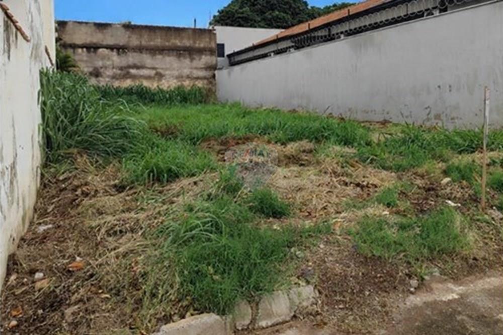 Terreno - Venda - Sertãozinho , São Paulo - 11.jpeg - 780191010-33